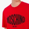 T-shirt z dzianiny z bawełny organicznej z nadrukiem