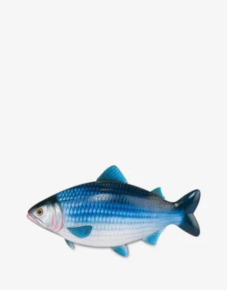 Torba typu fish bag